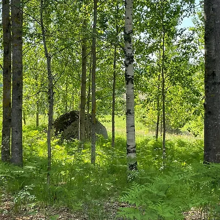 Myllaerin Aitta בקתה