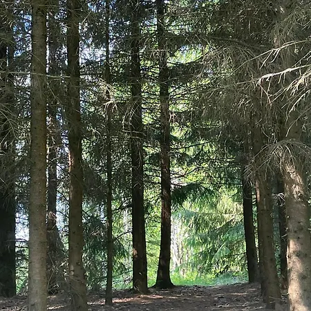 Myllaerin Aitta * Miehikkala