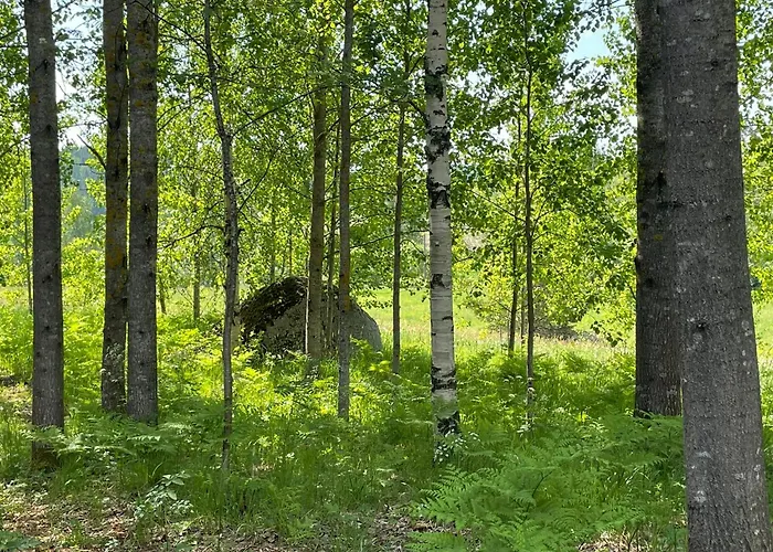 Myllaerin Aitta בקתה