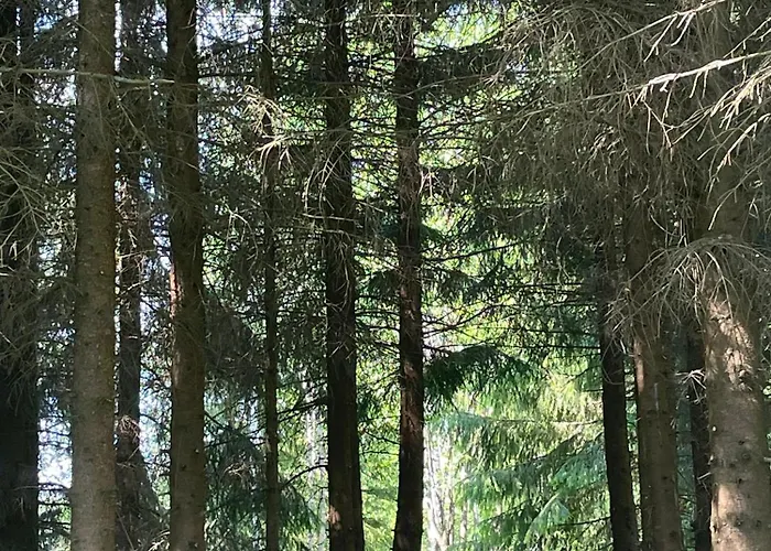 Myllaerin Aitta * Miehikkala